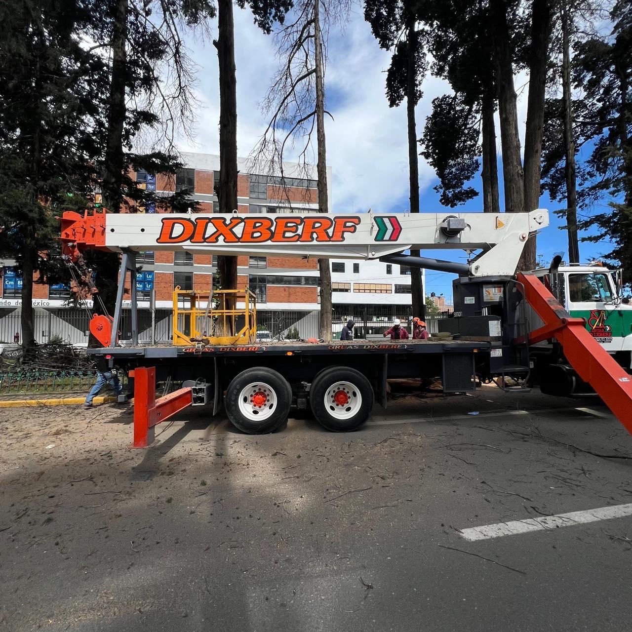 pese-a-oposicion-vecinal-comenzaran-derribos-de-arboles-en-paseo-colon