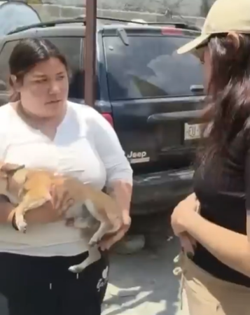 chocan-versiones-sobre-montaje-de-atropellamiento-a-un-perro-aparece-duena-con-la-mascota-herida
