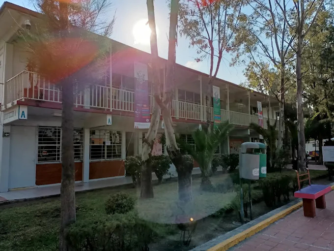 estudiantes-del-edomex-triunfan-con-innovaciones-tecnologicas-para-evitar-fugas-de-gas-y-ubicar-rutas-de-transporte