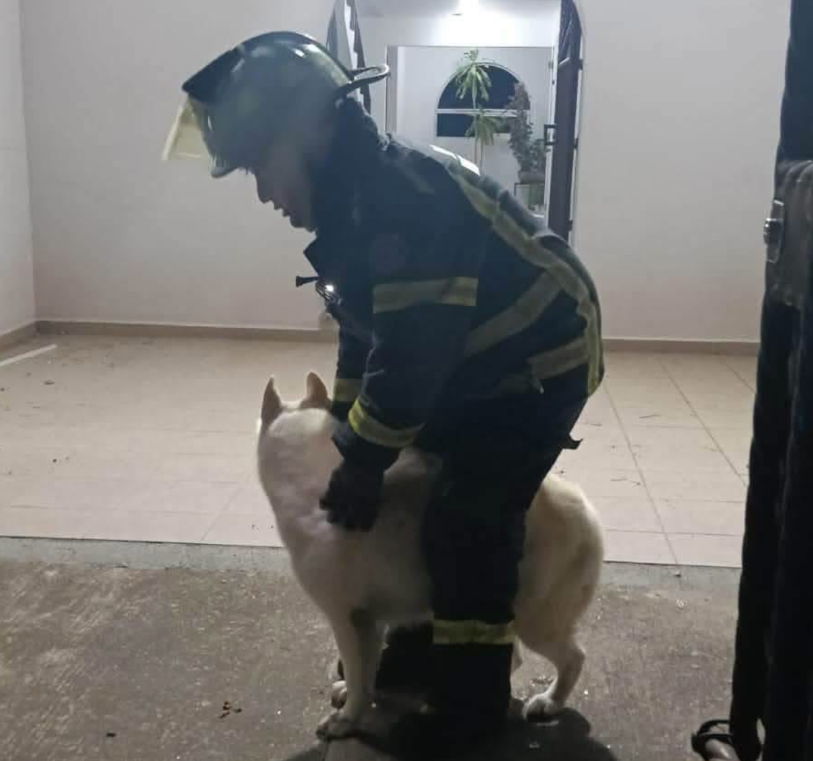rescatan-a-nala-tras-explosion-en-huixquilucan