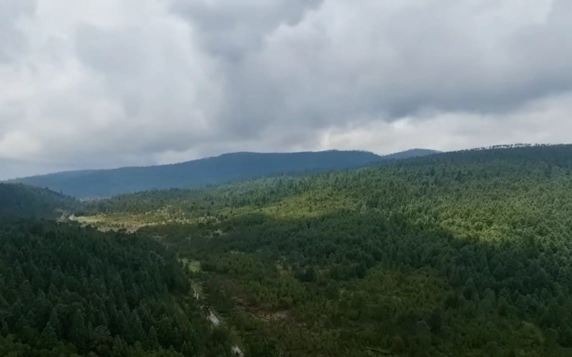 implementan-drones-con-tecnologia-de-punta-para-monitorear-estatus-del-bosque-de-agua-en-villa-del-carbon