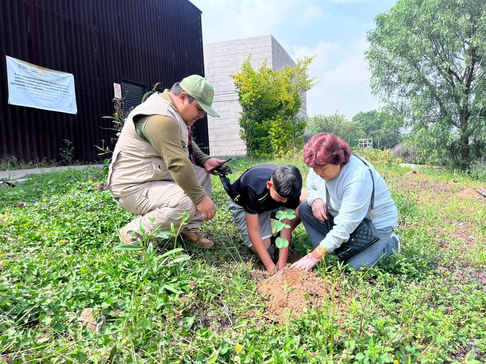 cumpll-gem-objetivo-de-plantar-100-mil-arboles-en-edomex