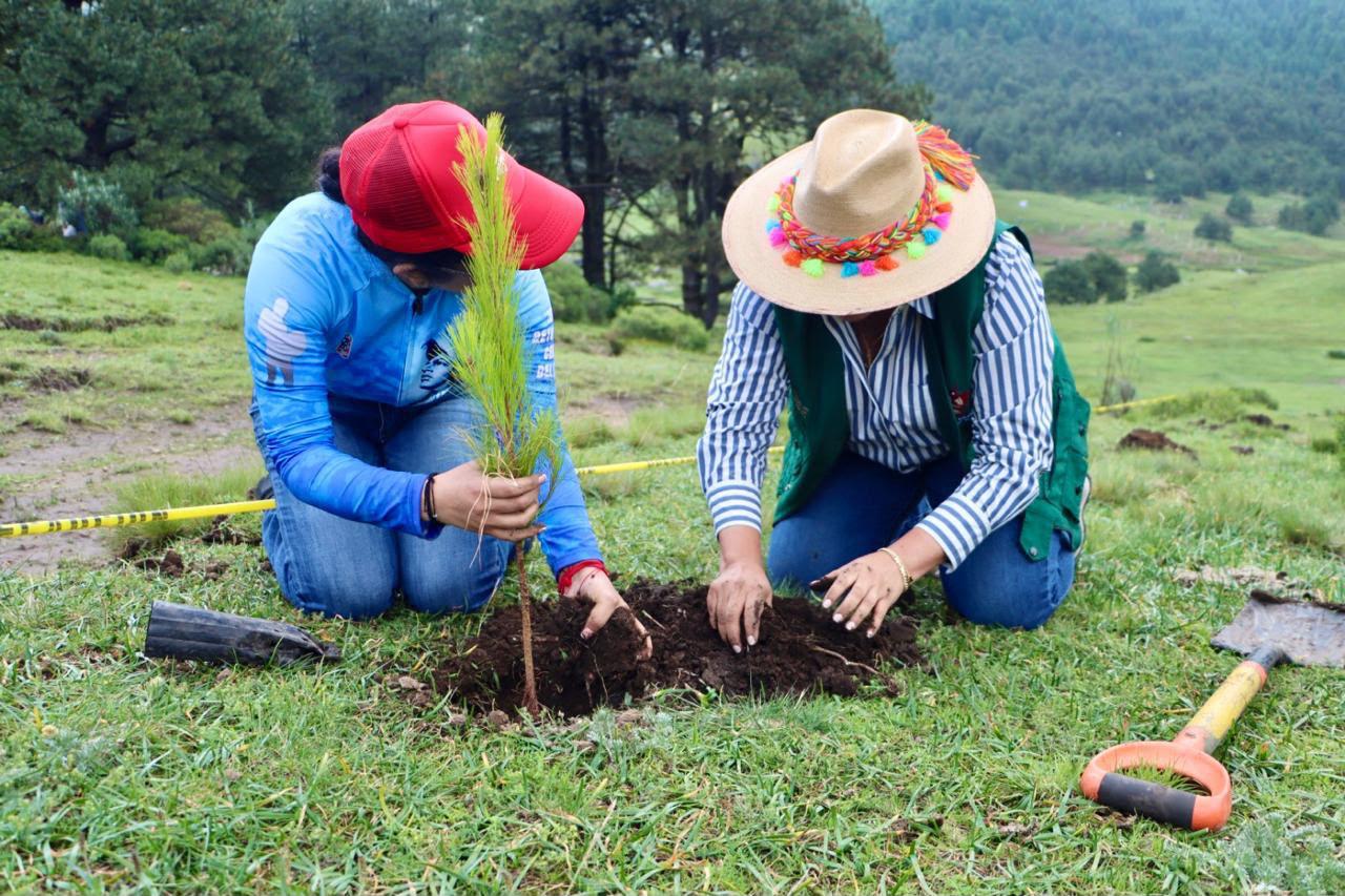 llama-gem-a-sumar-esfuerzos-en-jornada-nacional-de-reforestacion-este-domingo