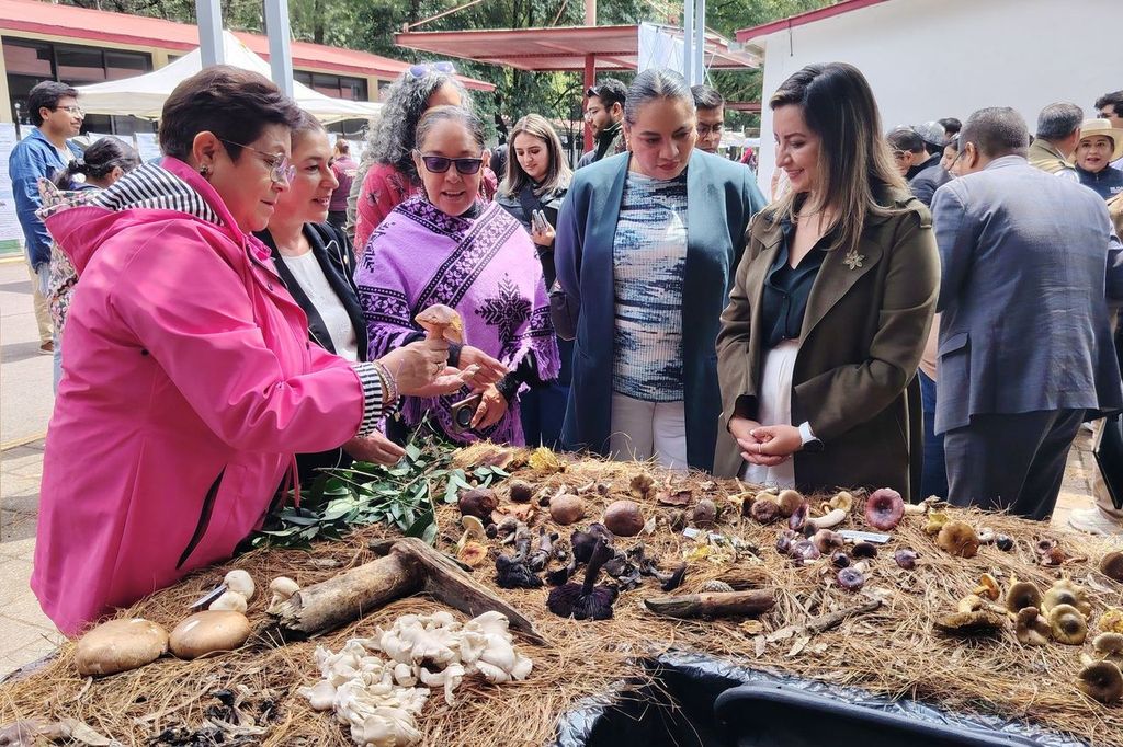 uaemex-y-gobierno-del-estado-de-mexico-fortalecen-la-divulgacion-cientifica-con-exposiciones-sobre-hongos-y-biodiversidad
