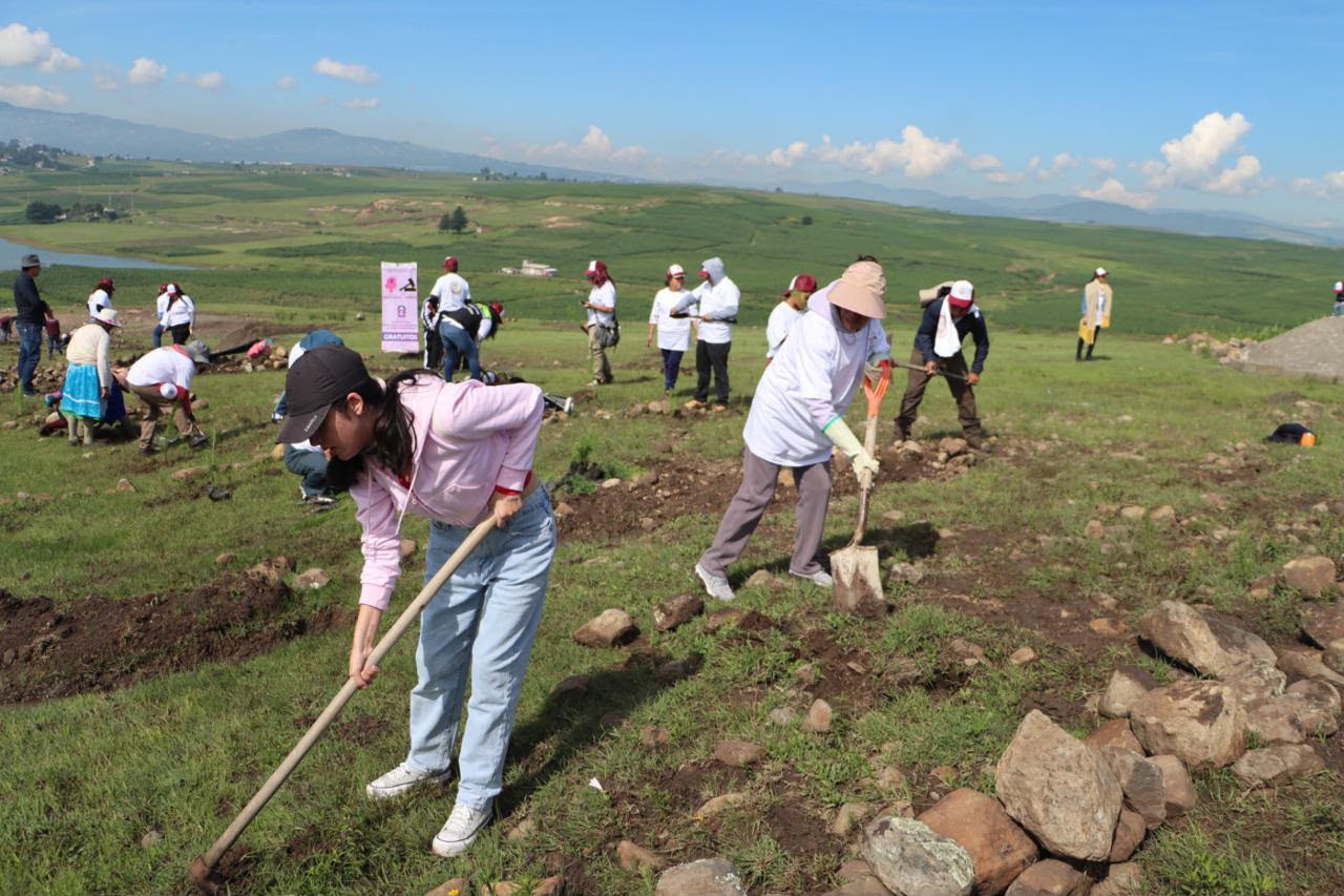 invita-gobernadora-delfina-gomez-a-sumarse-a-la-jornada-nacional-de-reforestacion-en-edomex-este-domingo-mas-de-cuatro-mil-arboles-se-plantaran-en-temoaya