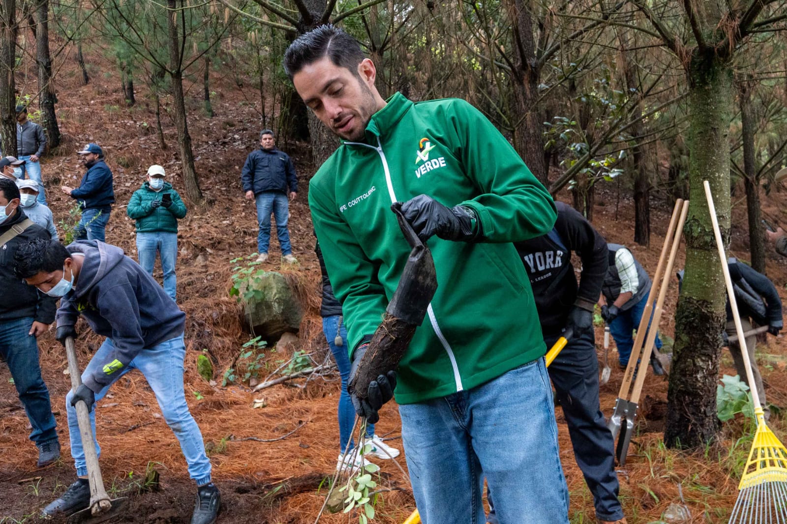 le-entraron-con-todo-los-municipios-verdes-a-la-1-jornada-nacional-de-reforestacion-couttolenc