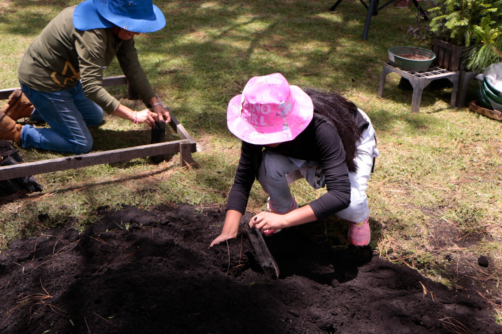 acerca-gobierno-del-edomex-educacion-forestal-a-ninas-y-ninos-con-curso-de-verano-de-probosque