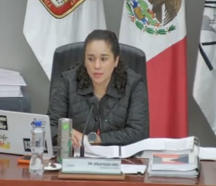 a-la-vuelta-de-la-esquina-el-proceso-electoral-inicia-en-las-primeras-2-semanas-de-septiembre-amalia-pulido