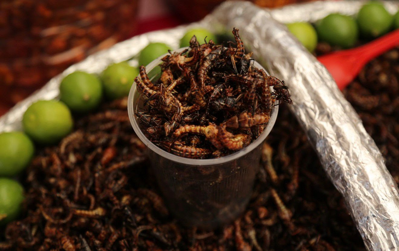 primer-encuentro-gastronomico-mexiquense-saberes-y-sabores-de-mi-tierra-sinonimo-de-riqueza-gastronomica-y-cultural