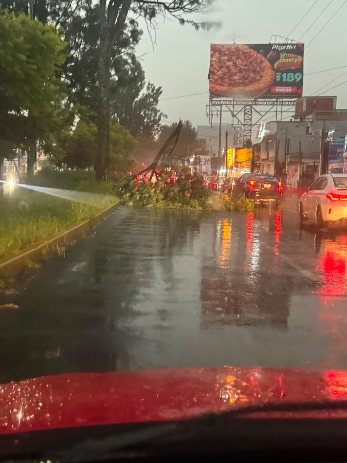 intensa-lluvia-deja-arboles-caidos-y-calles-bajo-el-agua-en-toluca