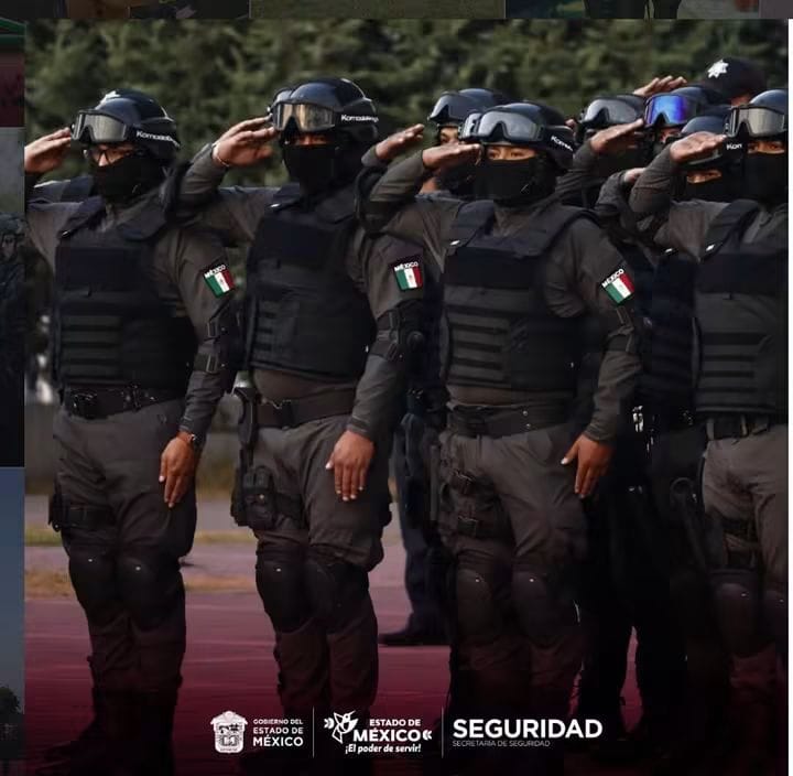 policias-no-denuncian-a-mandos-corruptos-por-temor-a-destitucion-irrevocable