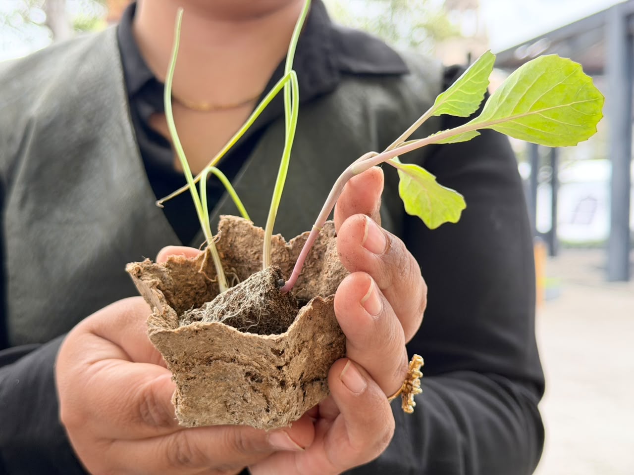 cascarones-carton-y-cafe-una-increible-manera-de-hacer-macetas-biodegradables