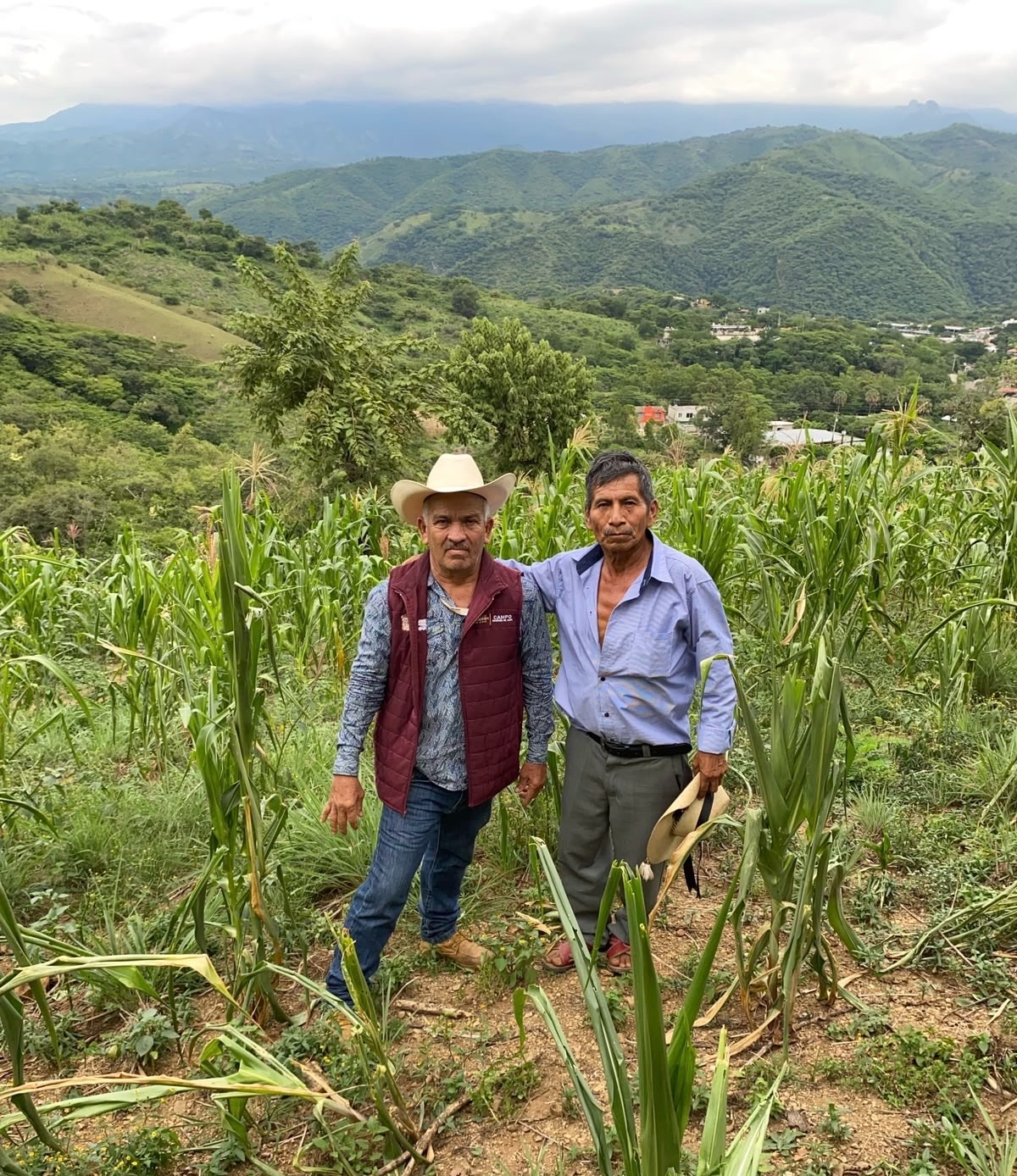 sequia-impacta-maizales-de-8-municipios-apoyara-gem-a-productores-perjudicados