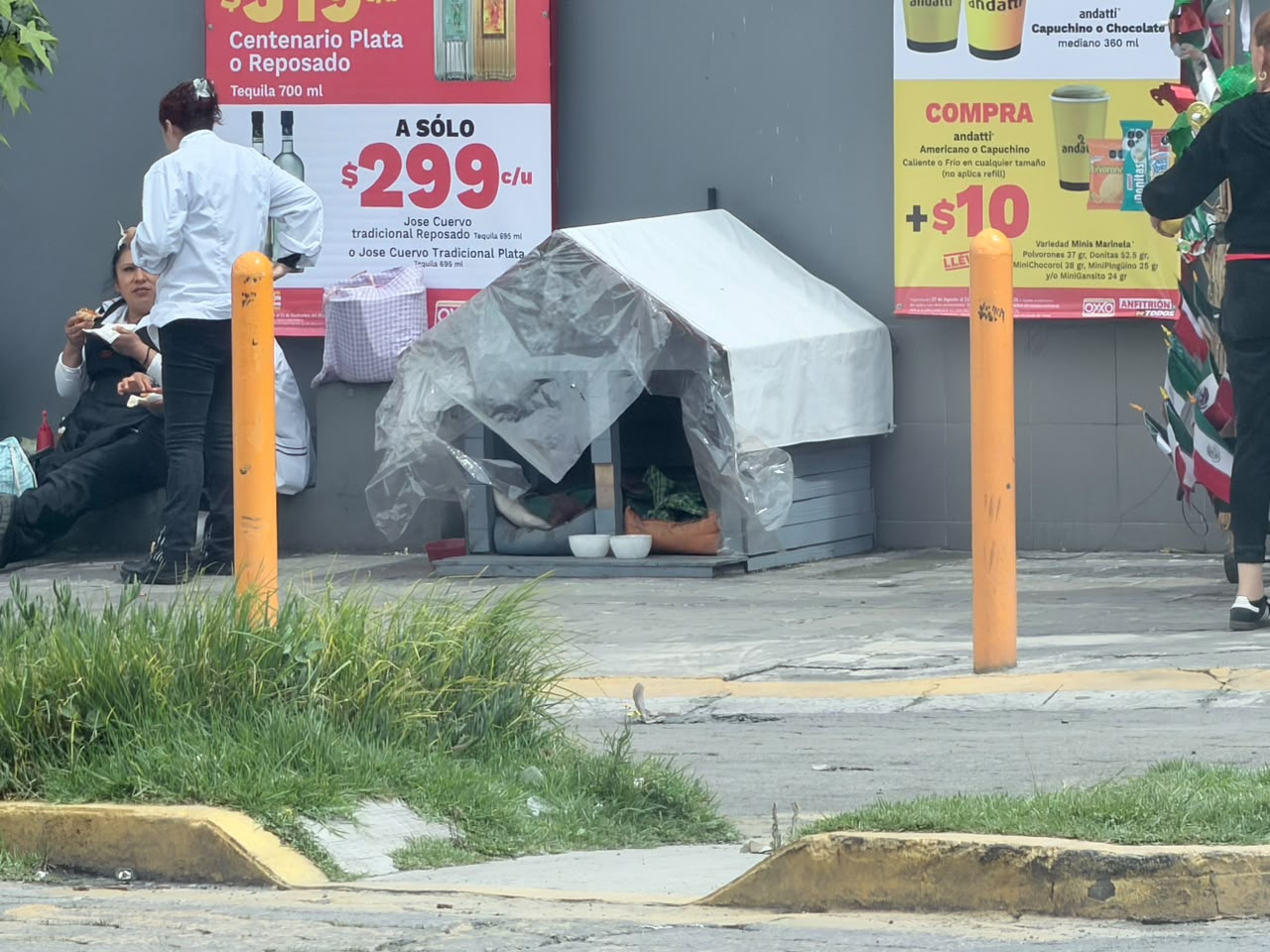 salvan-vidas-de-perritos-sin-hogar-con-materiales-reciclados-en-el-valle-de-toluca