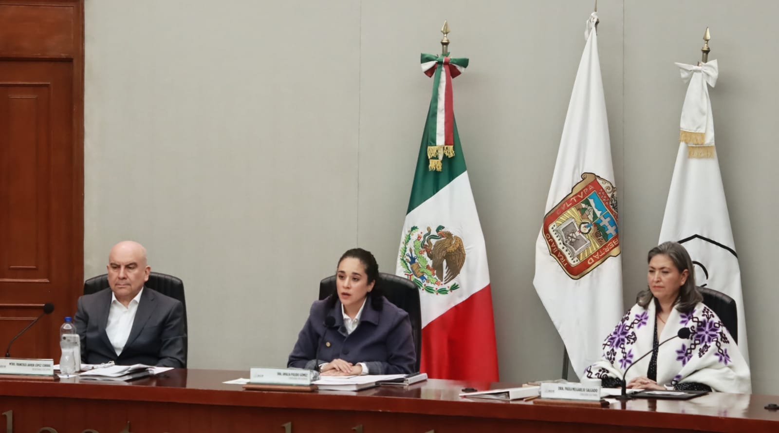 registra-ieem-106-quejas-la-mayoria-por-actos-anticipados-de-campana-amalia-pulido