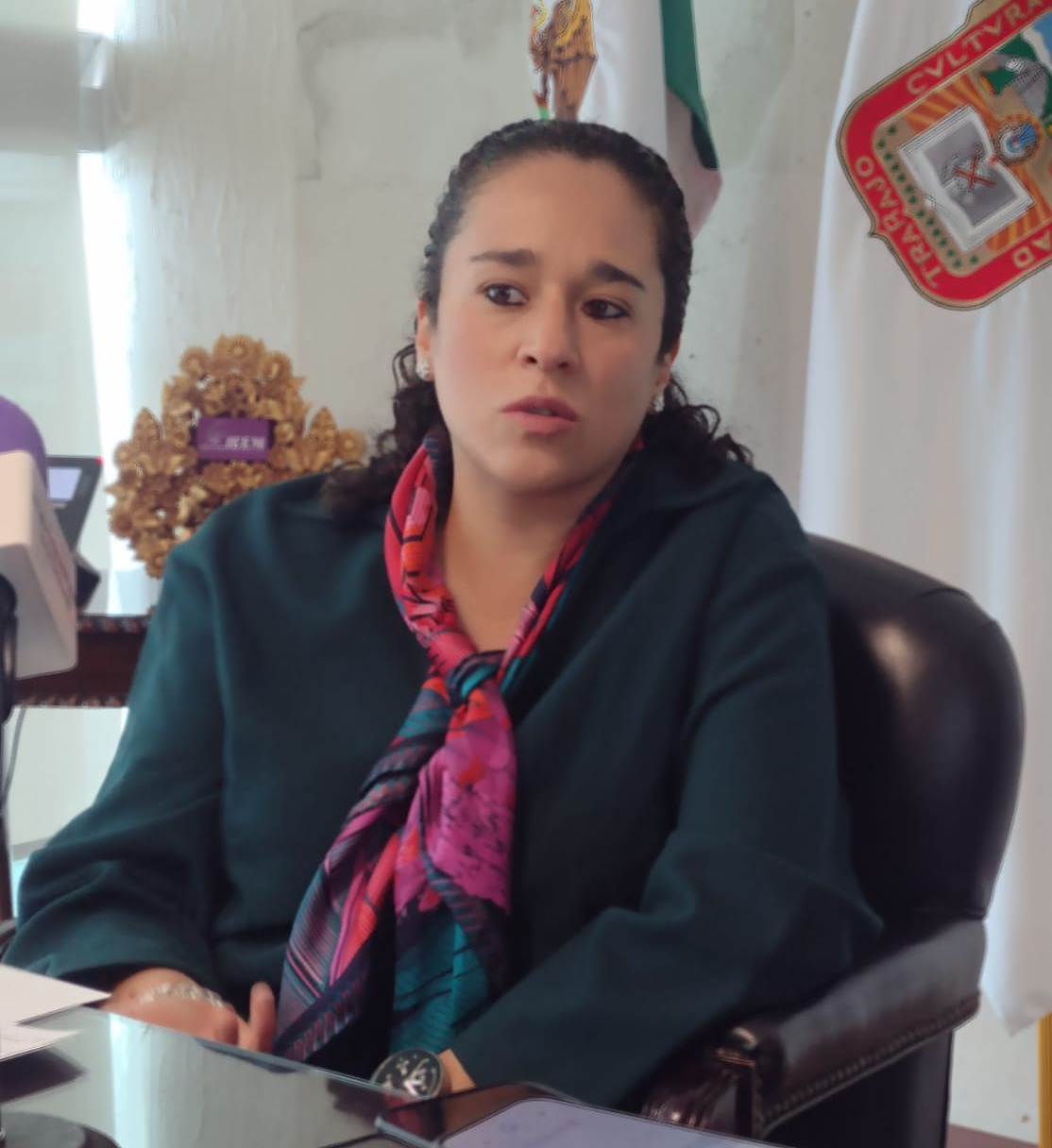 proteccion-a-candidatos-y-vocales-prioridades-para-definir-estrategia-de-seguridad-electoral-amalia-pulido