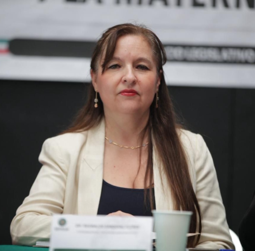 proteccion-a-mujeres-y-menores-en-casos-de-maternidad-subrogada-propone-pt