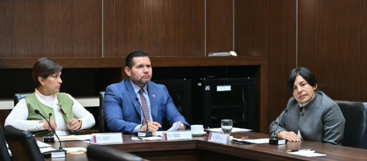 Proponen  embargar  a deudores  alimentarios  para que no   incumplan  manutención  de sus hijos