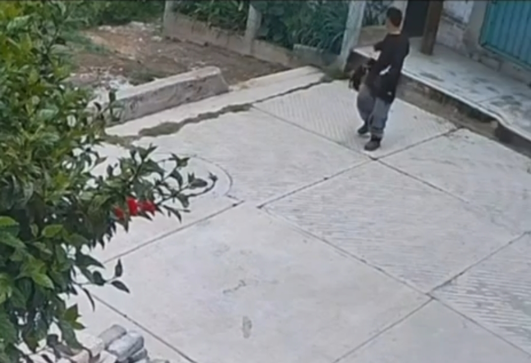 detienen-a-golpeador-de-perros-en-los-reyes