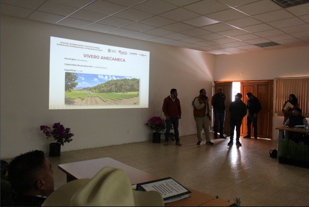 implementa-gobierno-del-edomex-nuevos-sustratos-en-17-viveros-forestales-para-mejorar-la-produccion-de-arboles