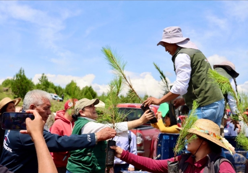 concluye-gobierno-del-edomex-temporada-de-restauracion-forestal-2026-interviene-mas-de-2-mil-hectareas