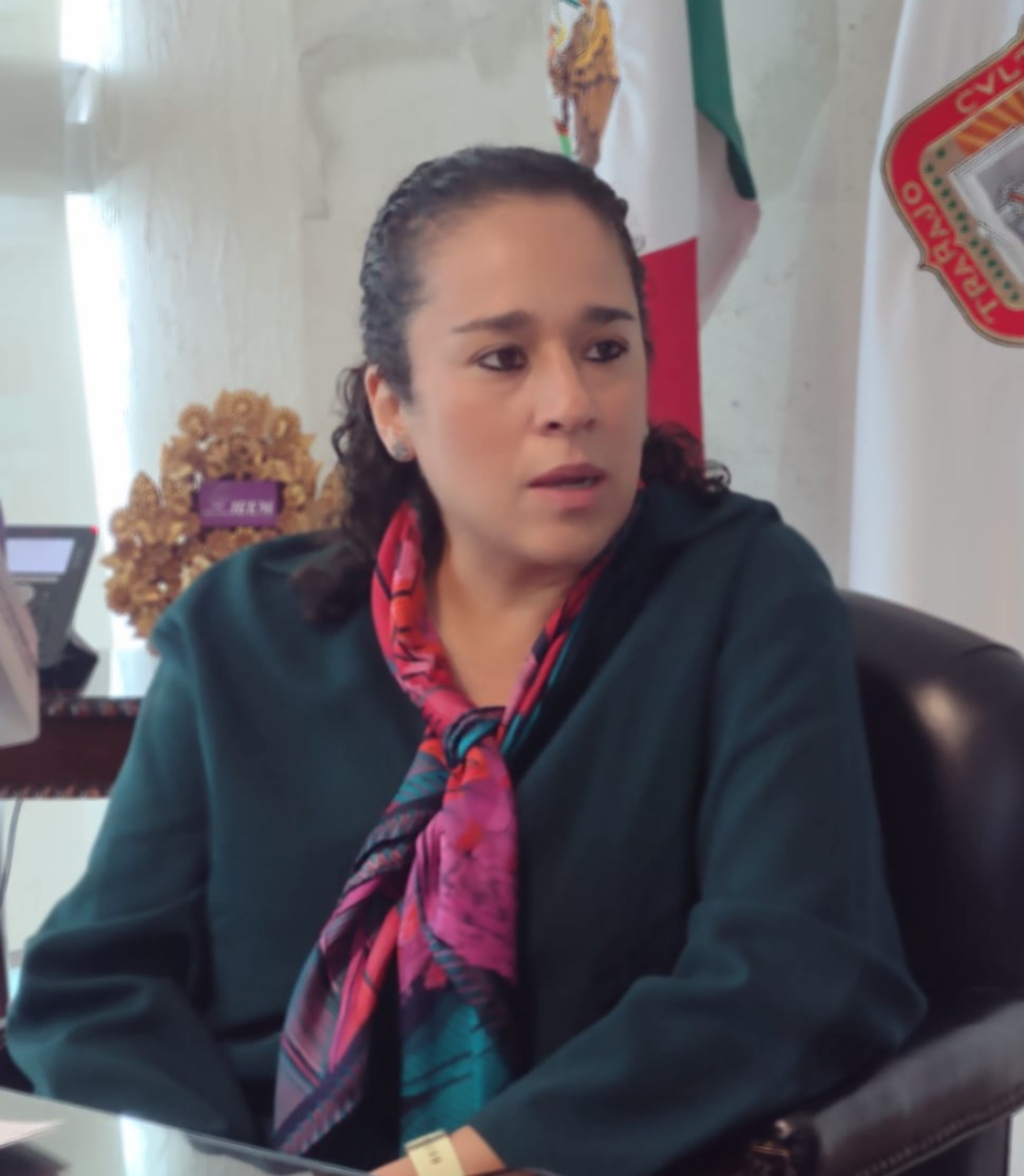 perfila-ieem-solicitud-de-presupuesto-contemplara-necesidades-atipicas-por-modificacion-de-procesos-electorales-amalia-pulido